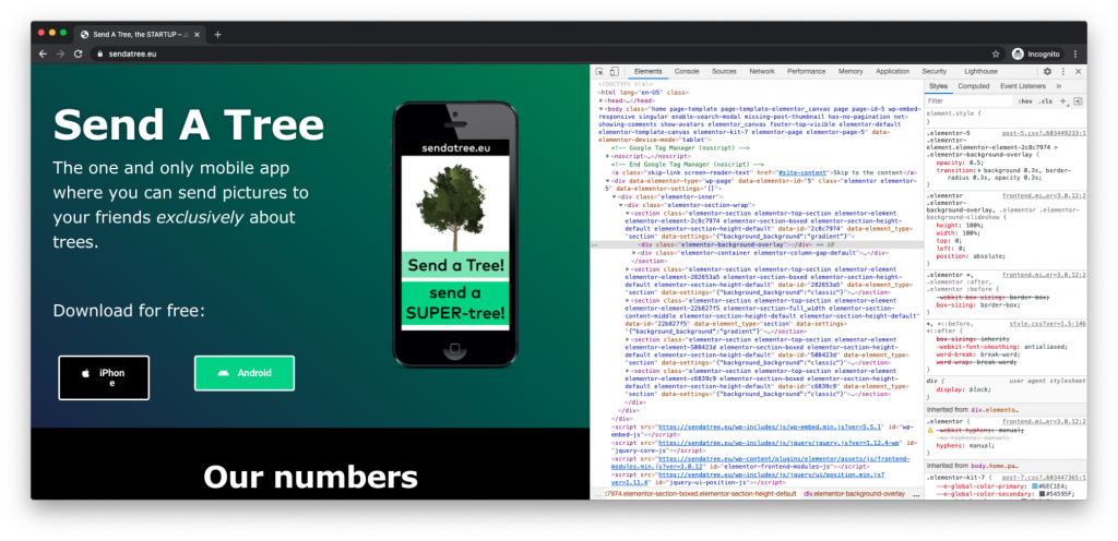 website javascript inspect data collection